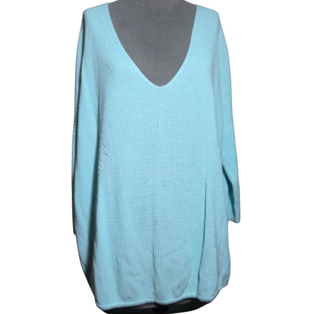 Express Blue Cotton V Neck Sweater Size Large